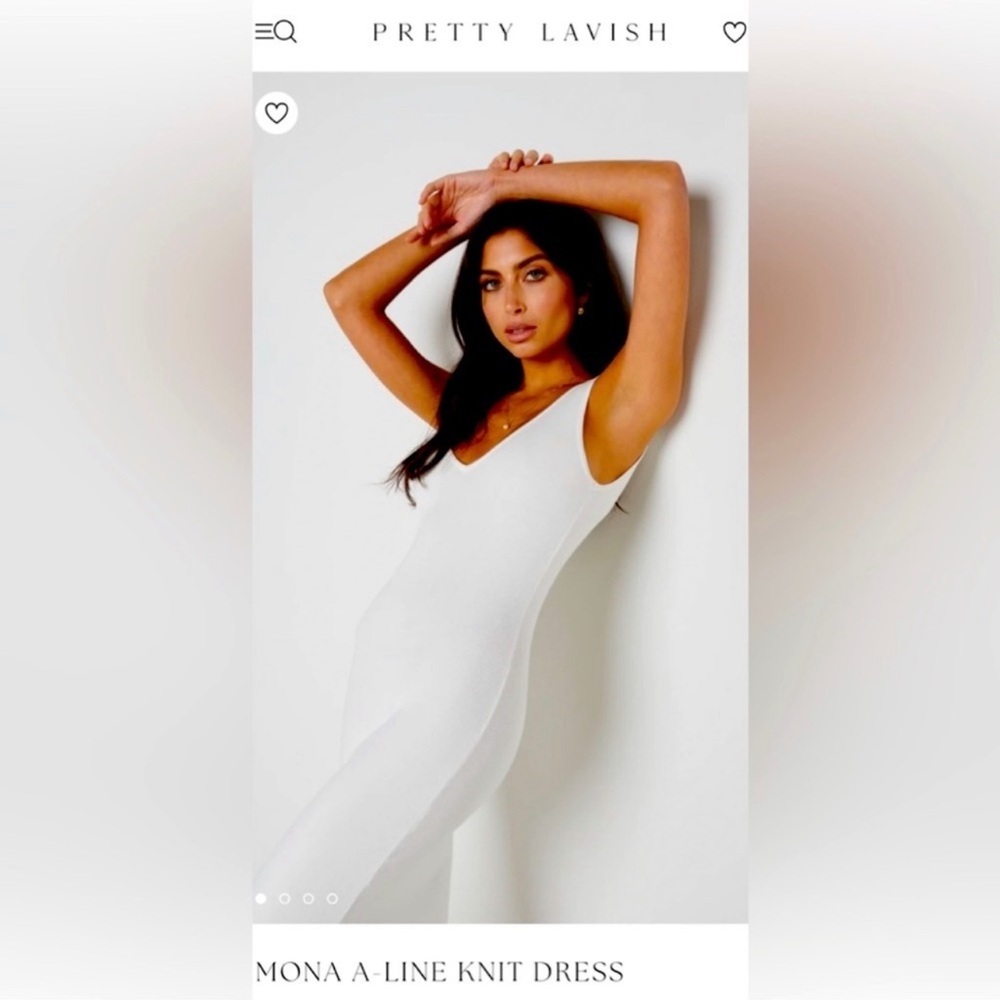 NWT Pretty Lavish Mona-A-Line Dress